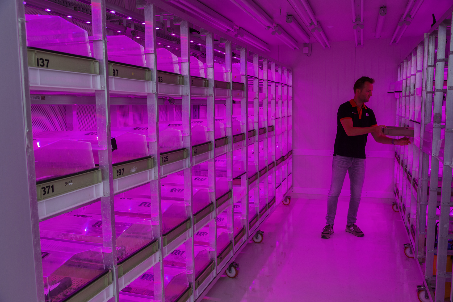 Breeding process at Agrico research